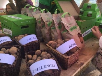 Agrovelebit d.o.o.Cijena-lickog-krumpira-4