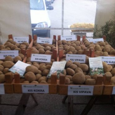 Održan III Dan Ličkog krumpira