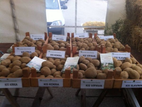 Održan III Dan Ličkog krumpira