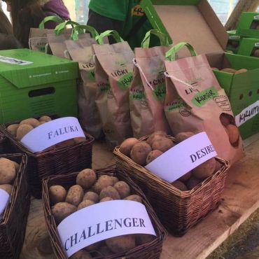 Održan V Dan ličkog krumpira